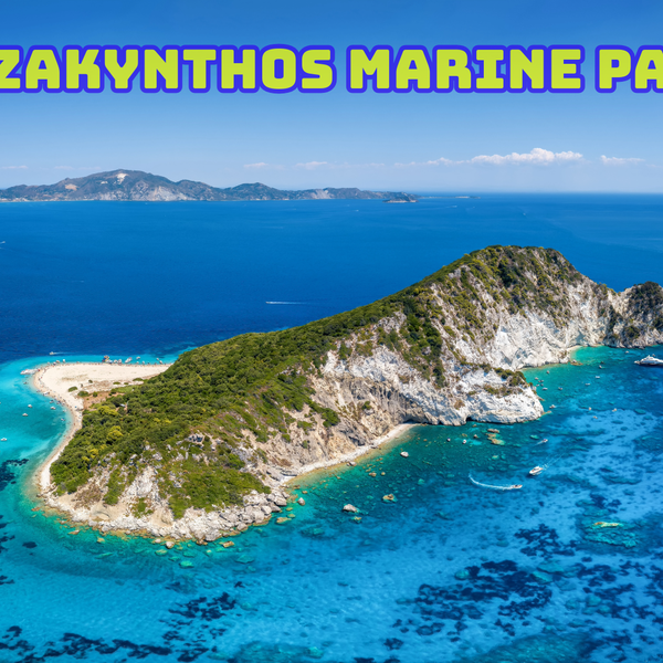 在扎金索斯海洋公园参加由当地向导迪米特里和潘特利斯兄弟带领的海龟观赏之旅